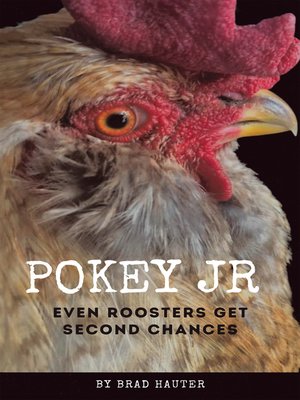 cover image of Pokey Jr